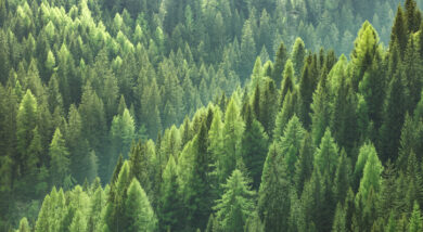 The Rise of Evergreen Funds Within Alternatives