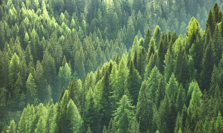 The Rise of Evergreen Funds Within Alternatives